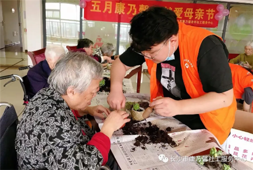 长沙市康乃馨老年呵护中心,长沙老年疗养,老年居家养老,老年护理哪里好